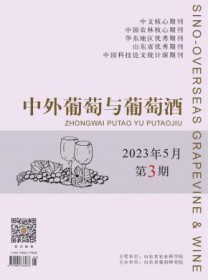 中外葡萄与葡萄酒